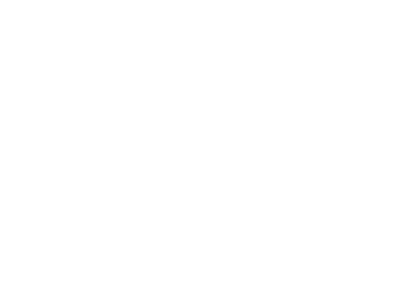 Logo, Gouvernement du Québec