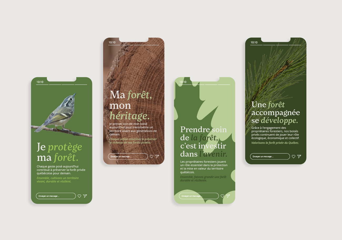 Maquettes mobiles d'une campagne de sensibilisation pour la forêt privée québécoise – design UI/UX de stories Instagram avec typographie et photographie nature